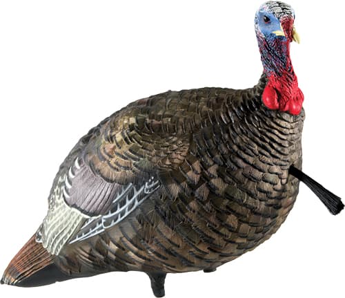 Avian-X LCD Quarter-Strut Jake Turkey Decoy AVX8003 Collapsible AVXAVX8003