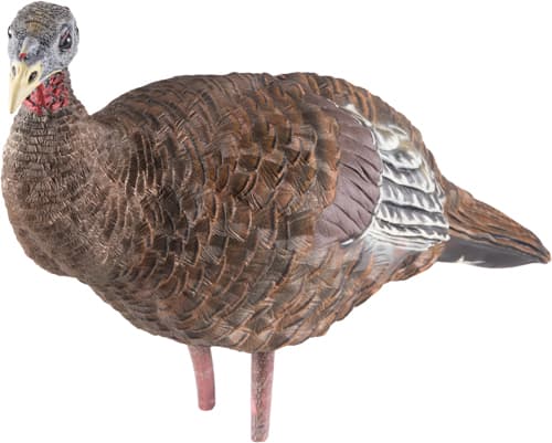 Avian-X LCD Breeder Hen Turkey Decoy AVXAVX8008 Collapsible Design