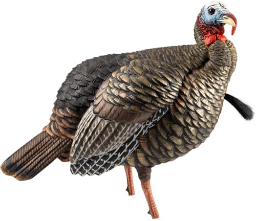 Avian-X HDR Jake Turkey Decoy AVXAVX8105 Quarter-Strut Posture