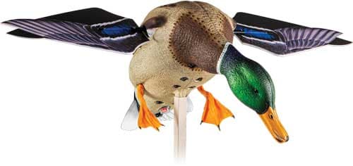 Avian-X PowerFlight Mallard Spinning Wing Decoy AVXDP101 Remote AVXAVXDP101