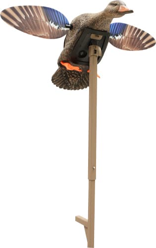 MOJO Outdoors Elite Series Mini Mallard Hen Decoy HW2471-3P Motorized Duck