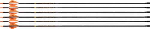 Victory Archery VAP TKO Elite Fletched Arrows VAPTKAE-400FB-6 6 Pack
