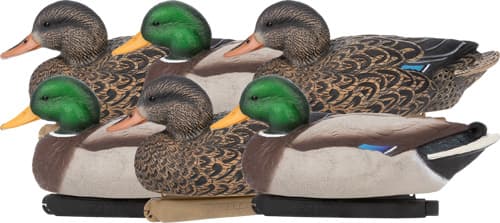 Zink Hunter Series Mallard Floater Duck Decoys ZNK-ZNKDY319 6 Pack