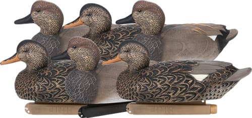 Zink Gadwall Floater Decoys ZNK-ZNKDYGAW 6 Pack