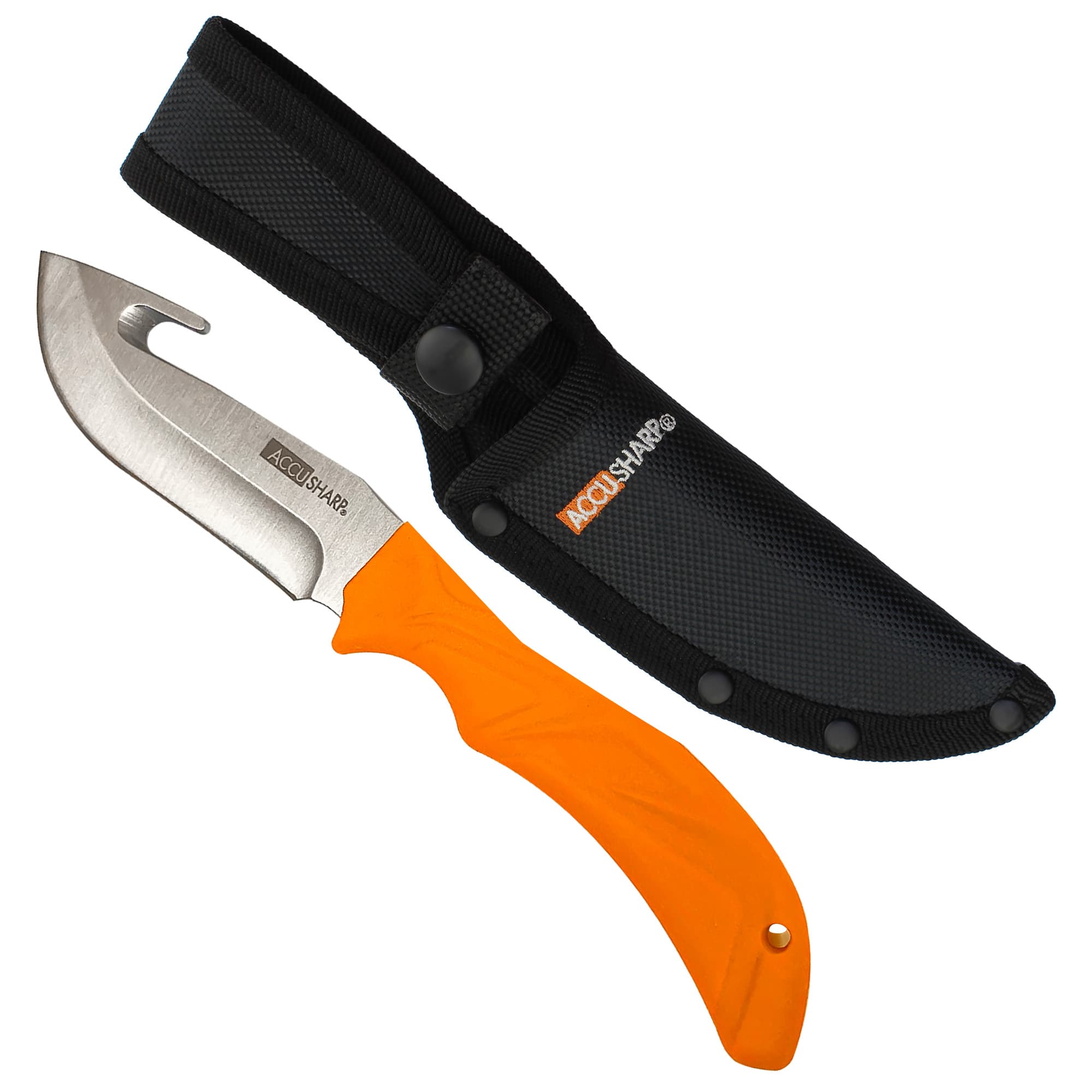 AccuSharp Gut Hook Fixed Blade Knife 729C 3.5in Stainless Steel Blade